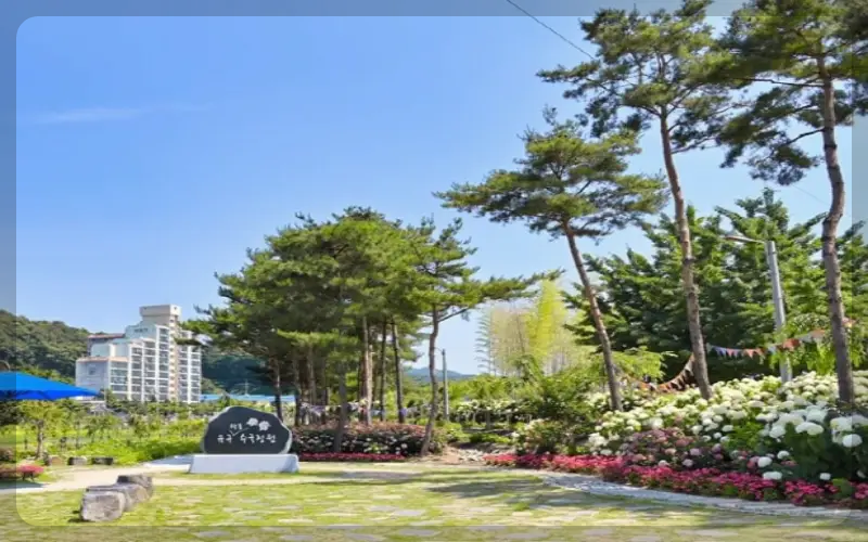 공주 수국축제 유구색동 수국 정원 꽃축제_16