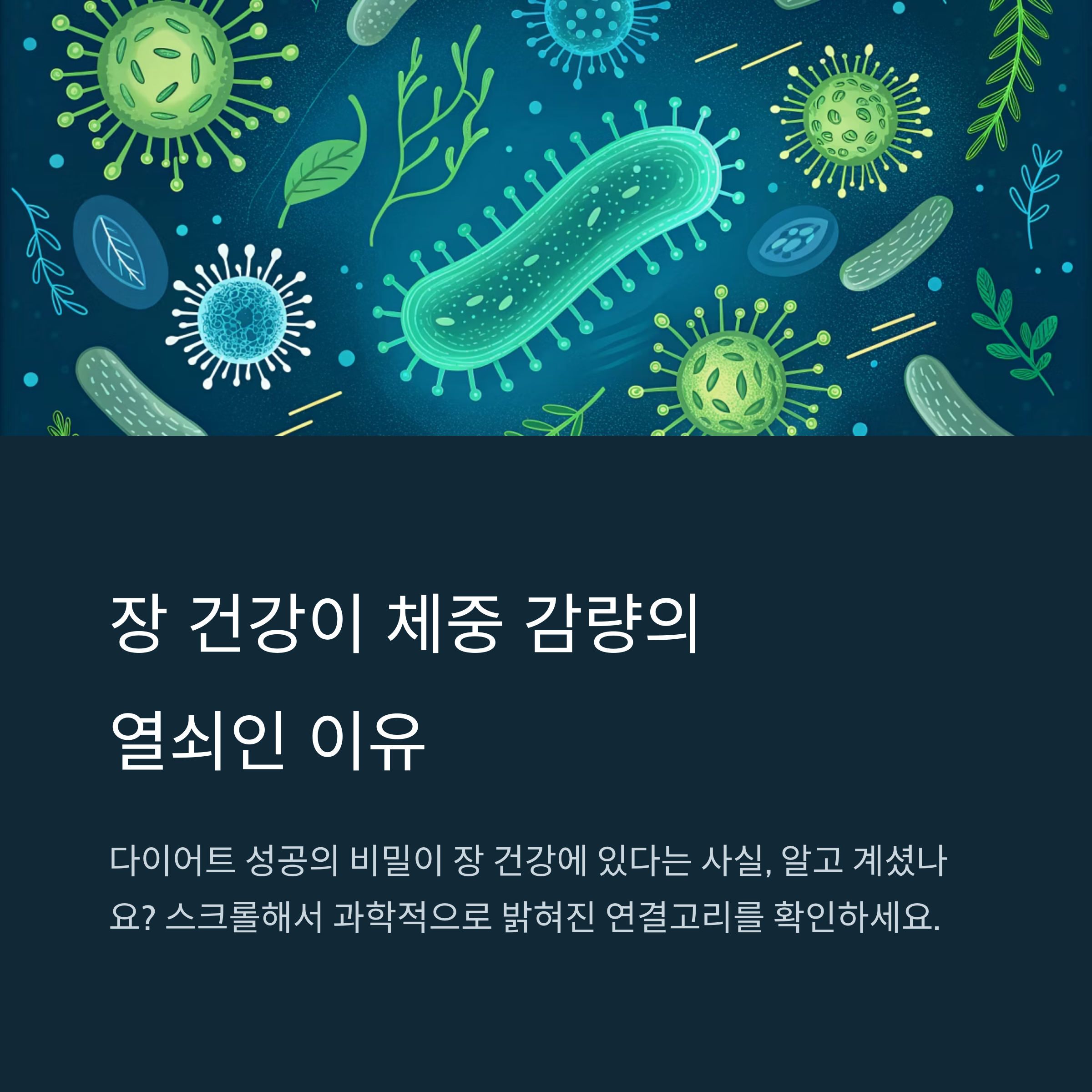 장 건강이 체중 감량의 열쇠인 이유: 과학으로 밝히는 숨은 연결고리