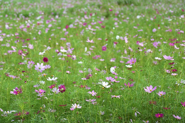 2024 숙박페스타 9월 (추석편) 숙박세일 할인쿠폰 추가할인 받기