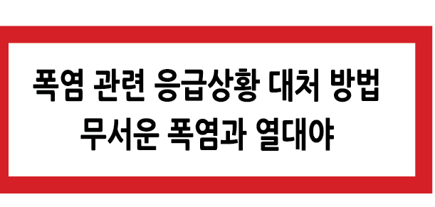 Alt 속성 문제 해결 설명 이미지
