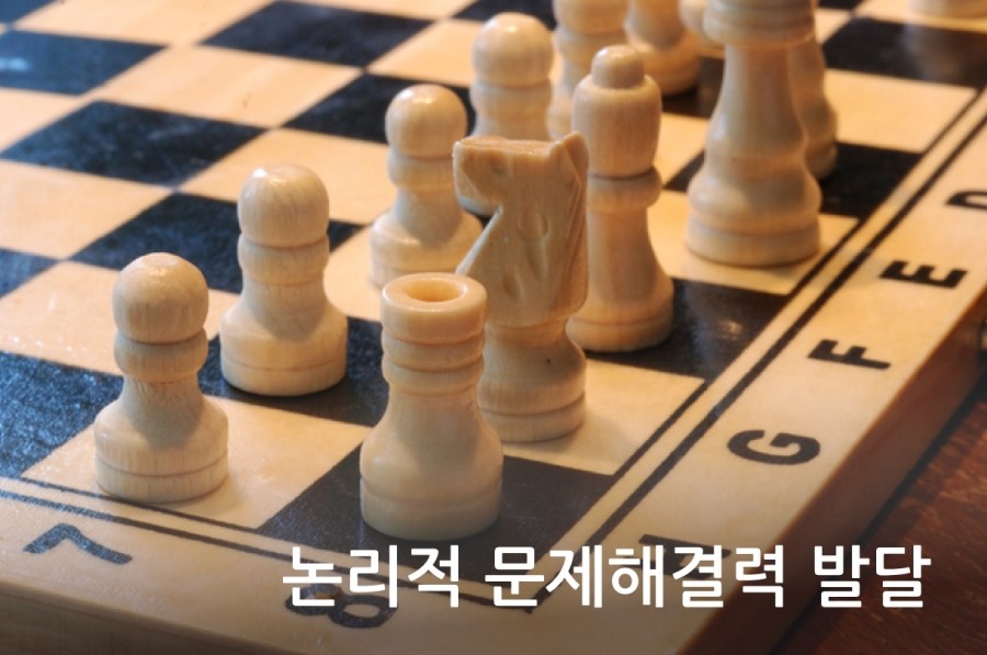 하루 30분 보드 게임, 8가지 인지 능력 중 논리적 문제 해결력 발달
