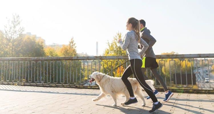 손목닥터 9988 회원가입 신청