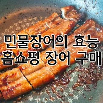 장어 효능 장어와 상극인 음식 건강 상식_9