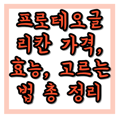 프로테오글리칸