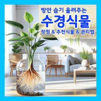 수경식물 장점과 수경식물 추천 및 수경식물 관리방법