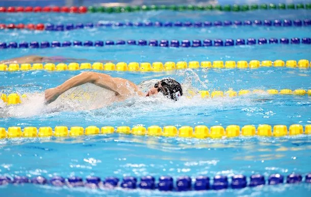 황선우 경기일정 금메달