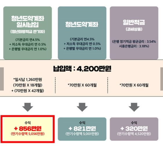 청년도약계좌 일시납입