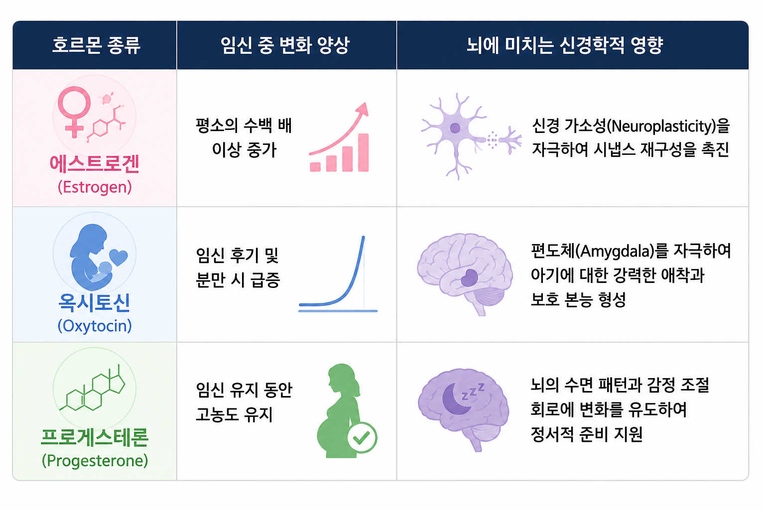 임신 중 뇌 변화, '모성애'는 정말 뇌 구조를 바꿀까?