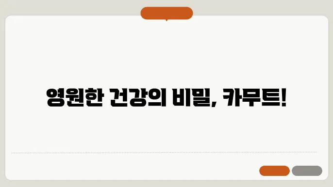 카무트쌀 효능