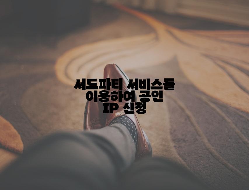서드파티 서비스를 이용하여 공인 IP 신청