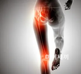 고관절 소리