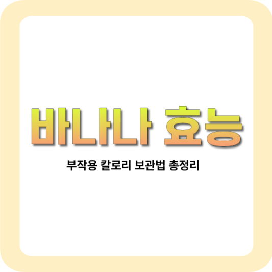바나나-효능