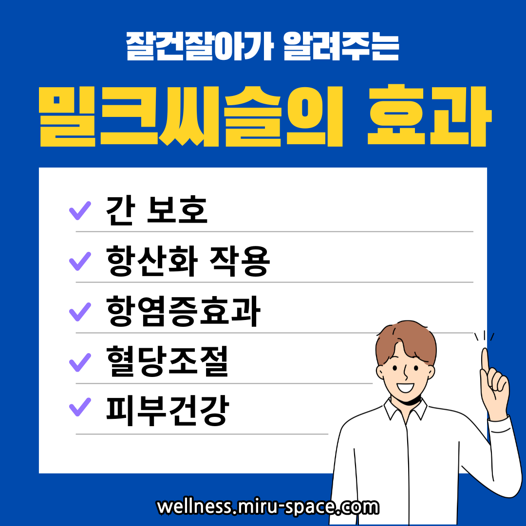 밀크씨슬의 효과