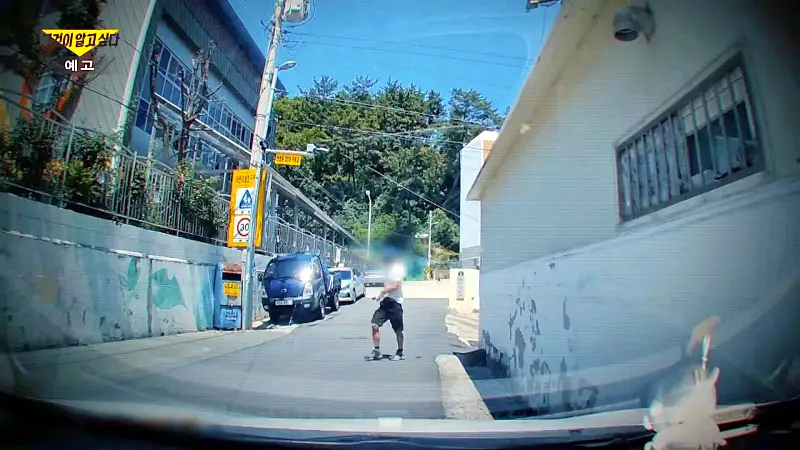 그알 그것이알고싶다 포항 고양이 연쇄 살해 사건 캣맘 불법 먹이 투기 행위 반대 캣 프레데터 강력 살인 범죄 징조 사례 1318회