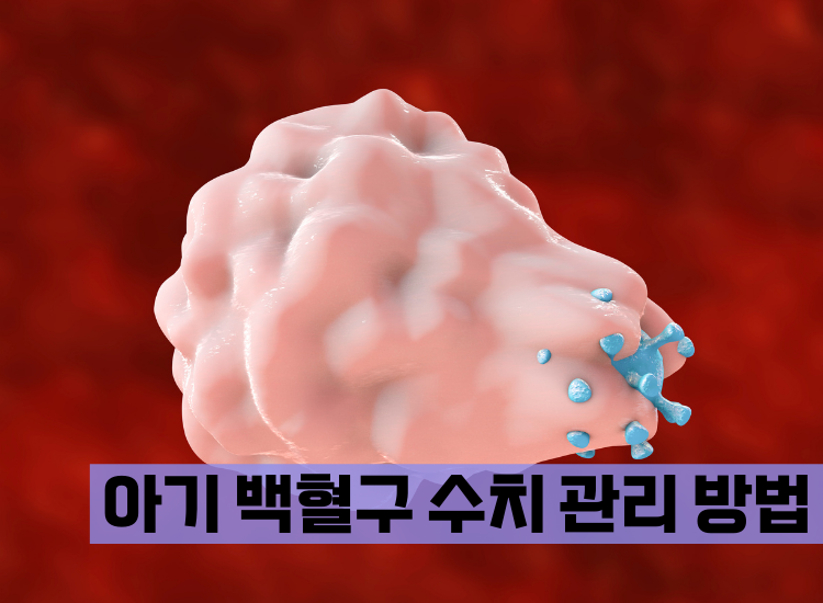 아기 백혈구 수치 관리 방법