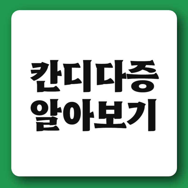 칸디다증