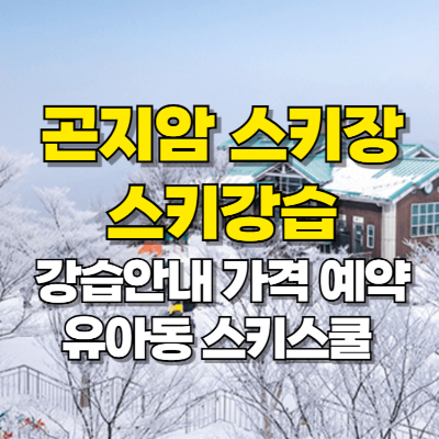 곤지암 스키강습 가격 예약 유아동 스키스쿨 카드뉴스