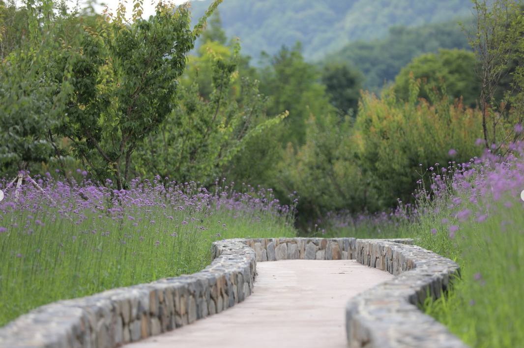 백두대간 봉자페스티벌