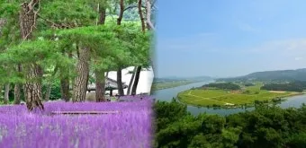 상주 가볼만한곳 맛집 추천 카페 겨울 베스트 10_3