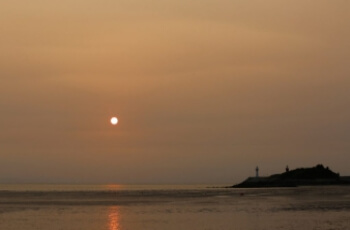 고창 청농원 라벤더 축제 주변