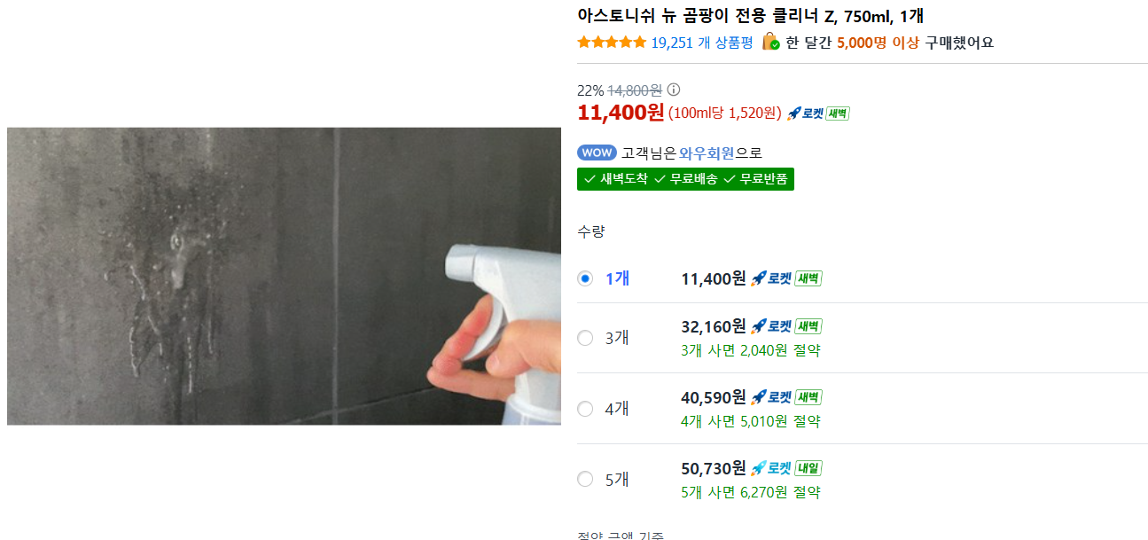 아스토니쉬 뉴 곰팡이 전용 클리너 Z 곰팡이 제거