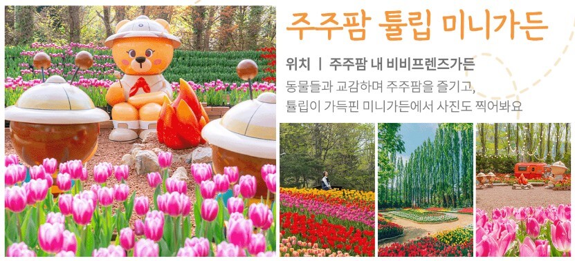 2025 대구 이월드 &amp;#39;튤립 트래블&amp;#39; 축제! : 네덜란드 감성 그대로 즐기는 봄 꽃 축제!