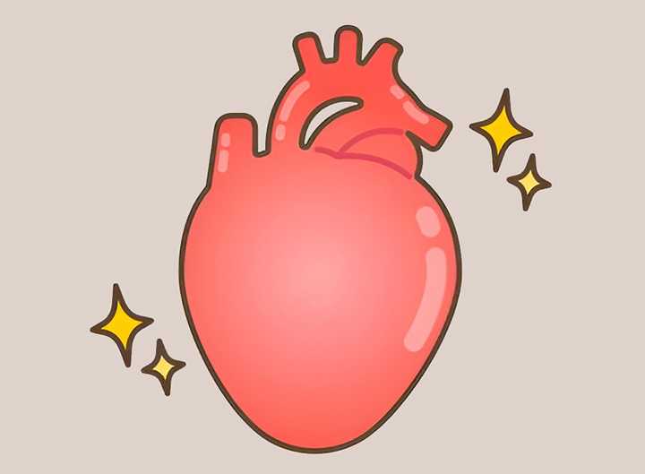 건강한-심장의-모습