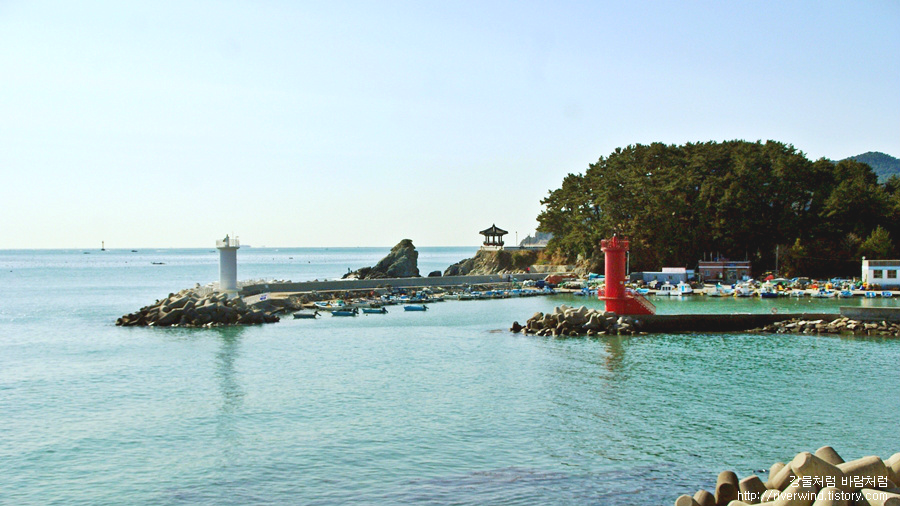 죽도공원 가을포 쌍등대