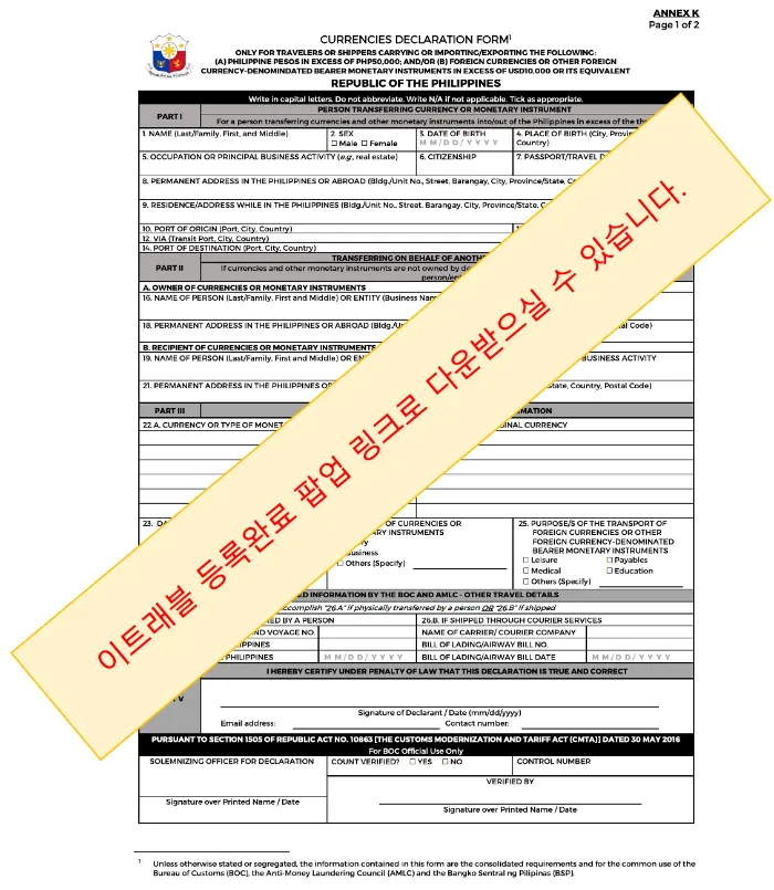 필리핀_외환반입신고서양식
