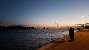 2024년 농어민 공익수당 신청