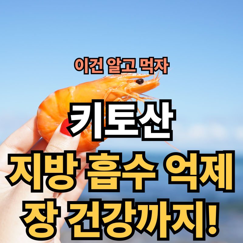 키토산·키토올리고당 효능 총정리! 다이어트·장건강에 좋은 이유와 부작용·복용법까지