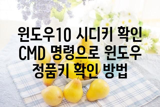 랜덤179