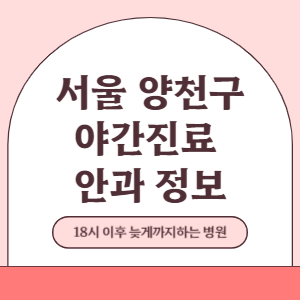 서울 양천구 야간진료 안과 병원 (18시 이후 늦게까지하는 병원)