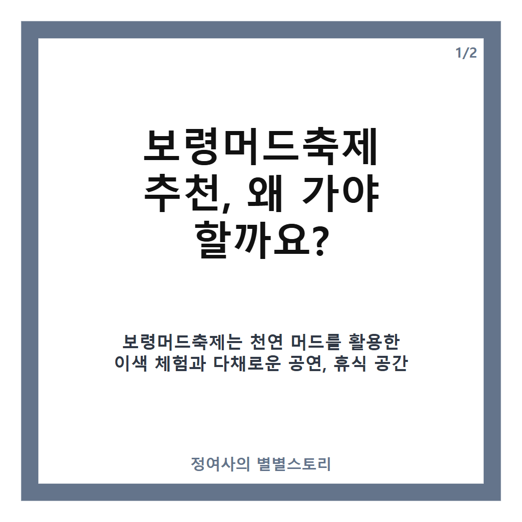 보령머드축제 추천 가이드: 최신 축제 정보와 꼭 즐겨야 할 프로그램 소개 카드뉴스 1