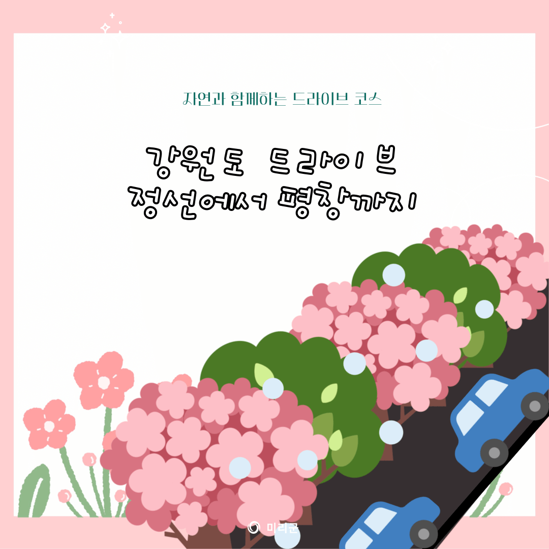강원도 드라이브코스