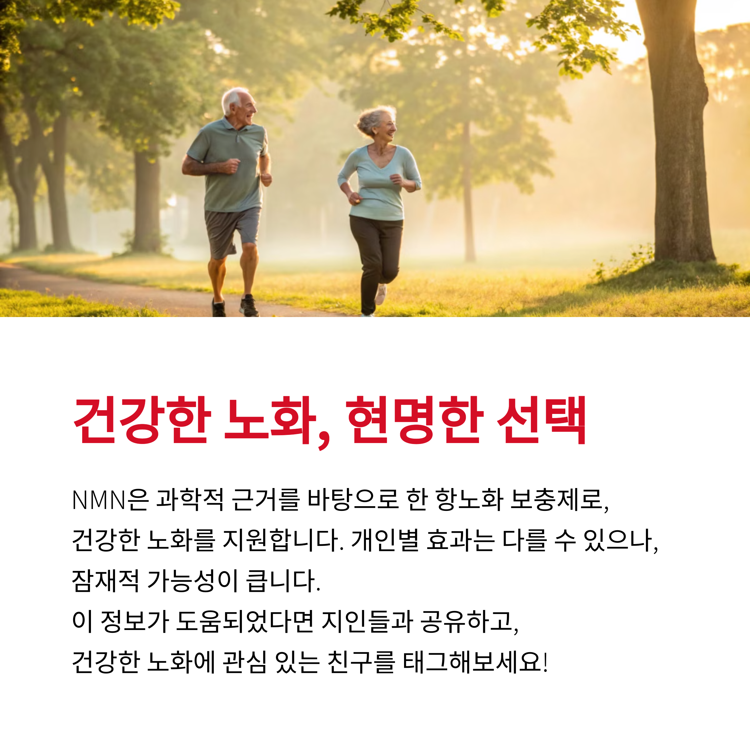 에너지영양제, 시르투인, 미토콘드리아, 건강보조제