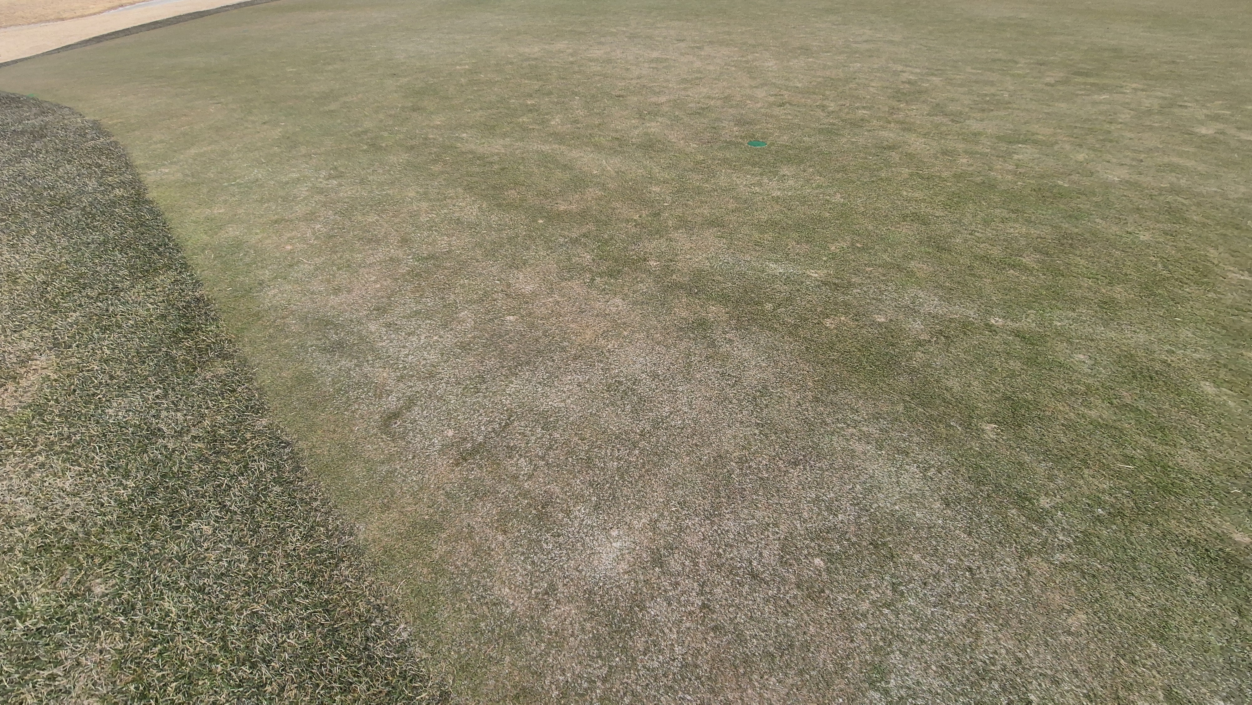 모나크cc 라운드 후기 그린관리상태