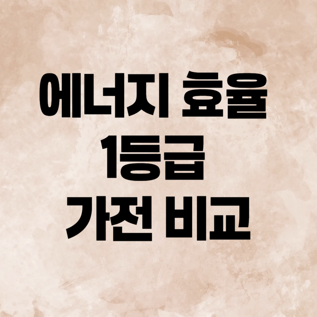 에너지 효율 1등급