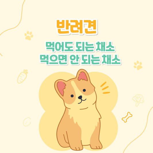 강아지 간식 - 강아지가 먹어도 되는 채소와 먹으면 안 되는 채소, 급여 시 주의 사항