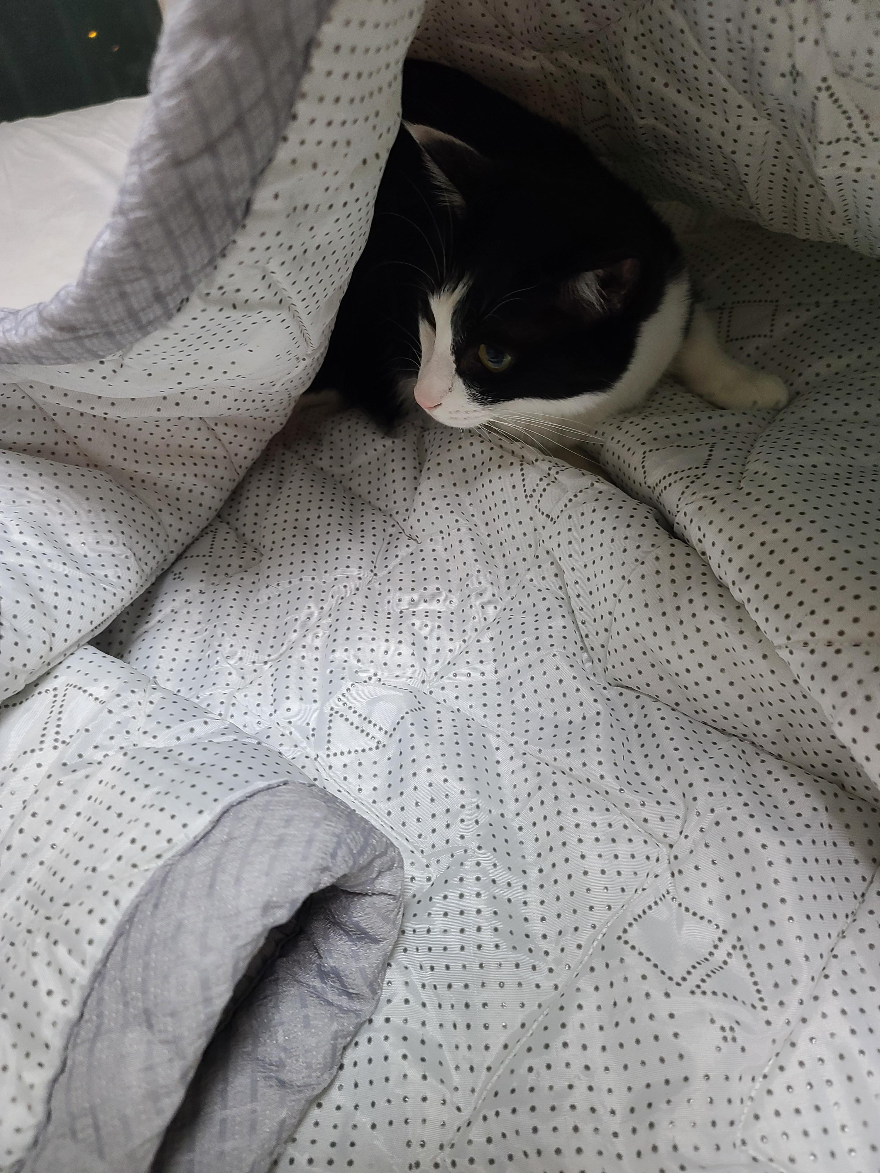 인기짱인 이불속 체험! 진상고객들과 늘어나는 대기자들..