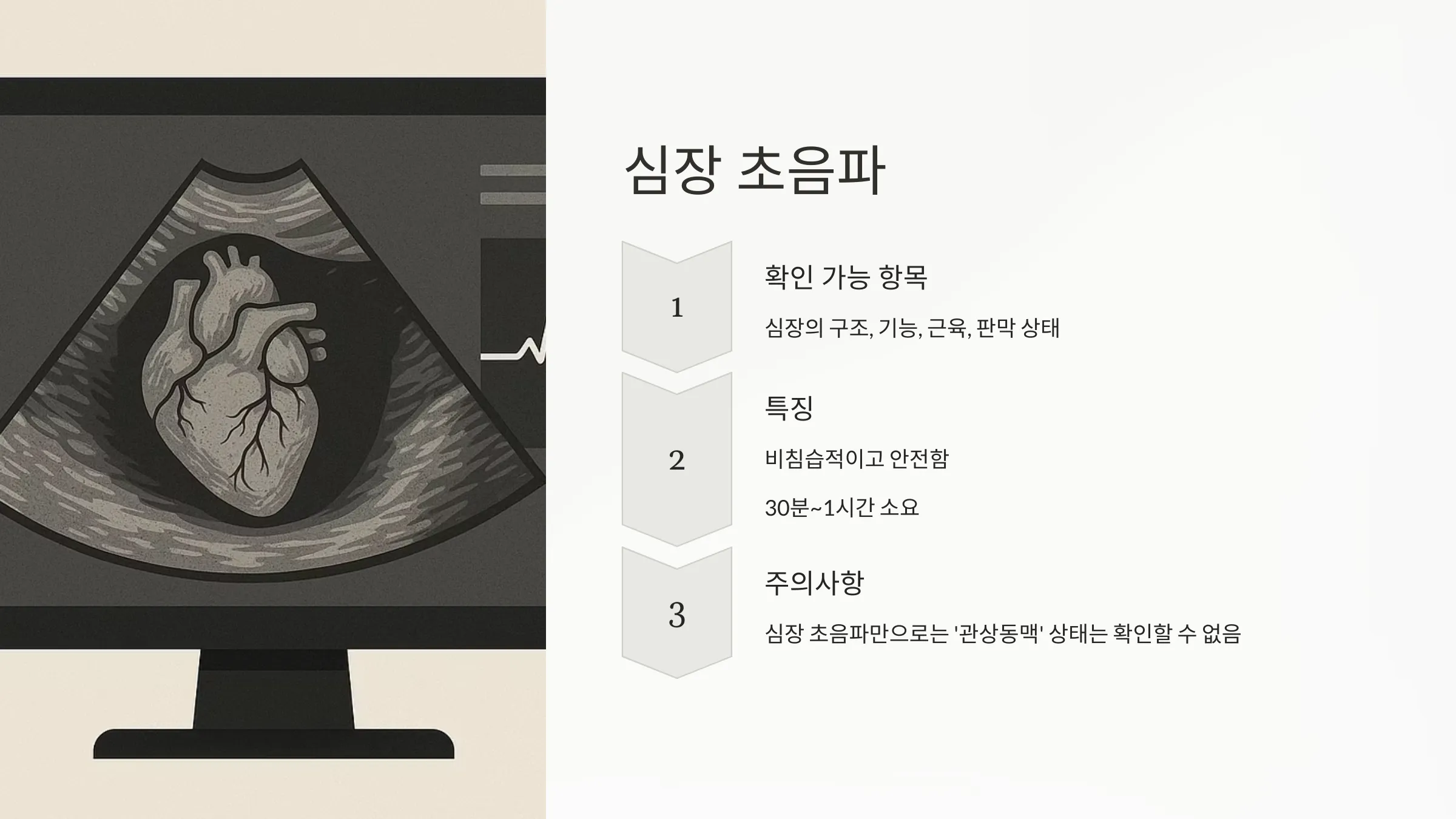 심장 초음파에 관련된 안내