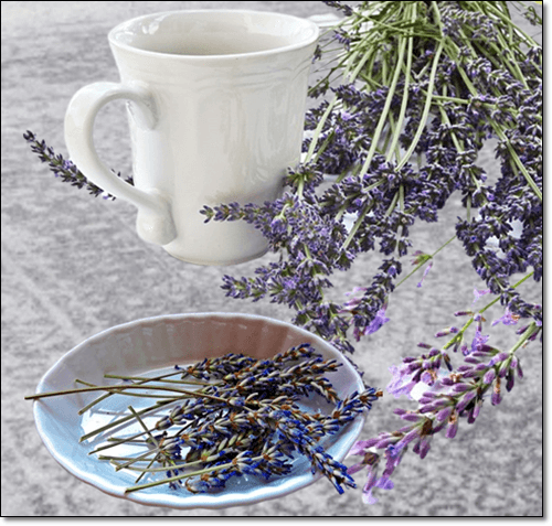 라벤더 차 효능