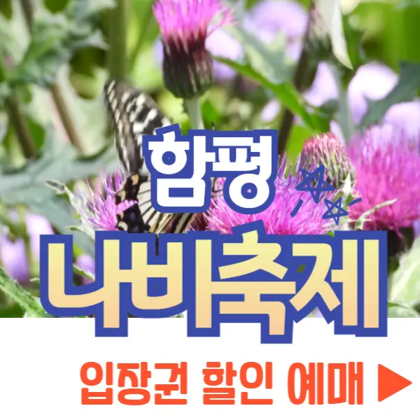 함평 나비축제 입장권 할인 예매