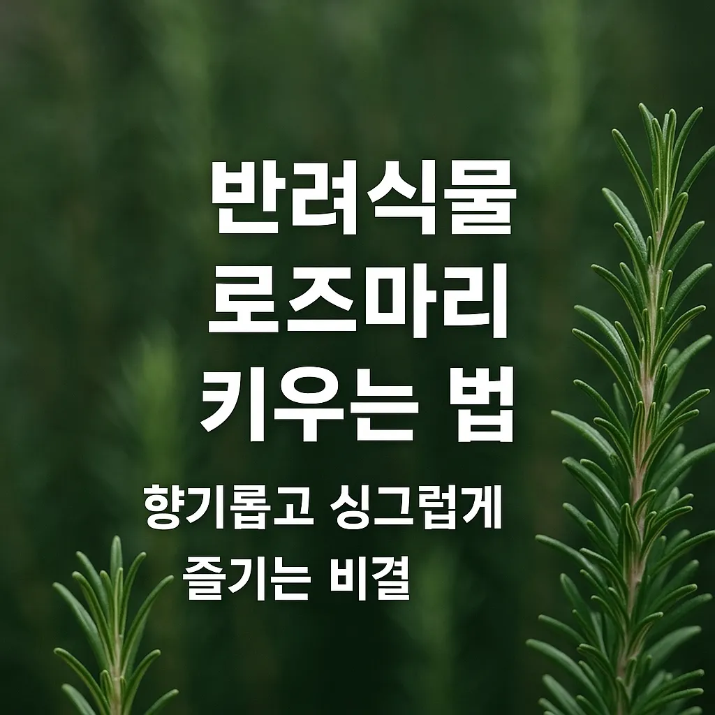 로즈마리