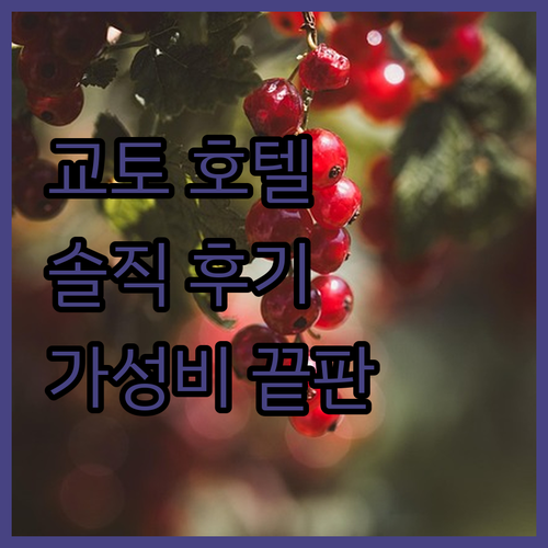 교토 호텔, 솔직 후기! 여기 안 가