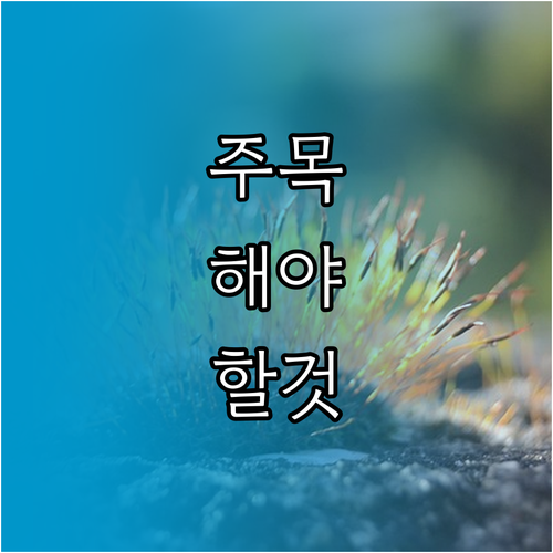 비건 샴푸 일반 샴푸 성분 비교 현명..