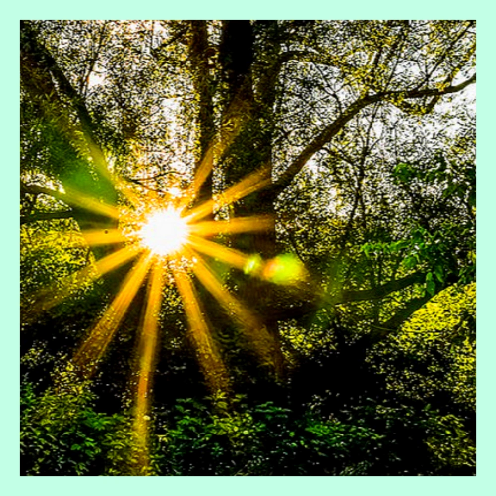 수능-응원-글귀