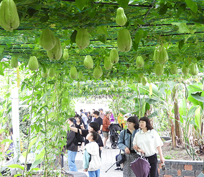 함평나비축제 일정, 초대가수, 입장료 할인정보🦋