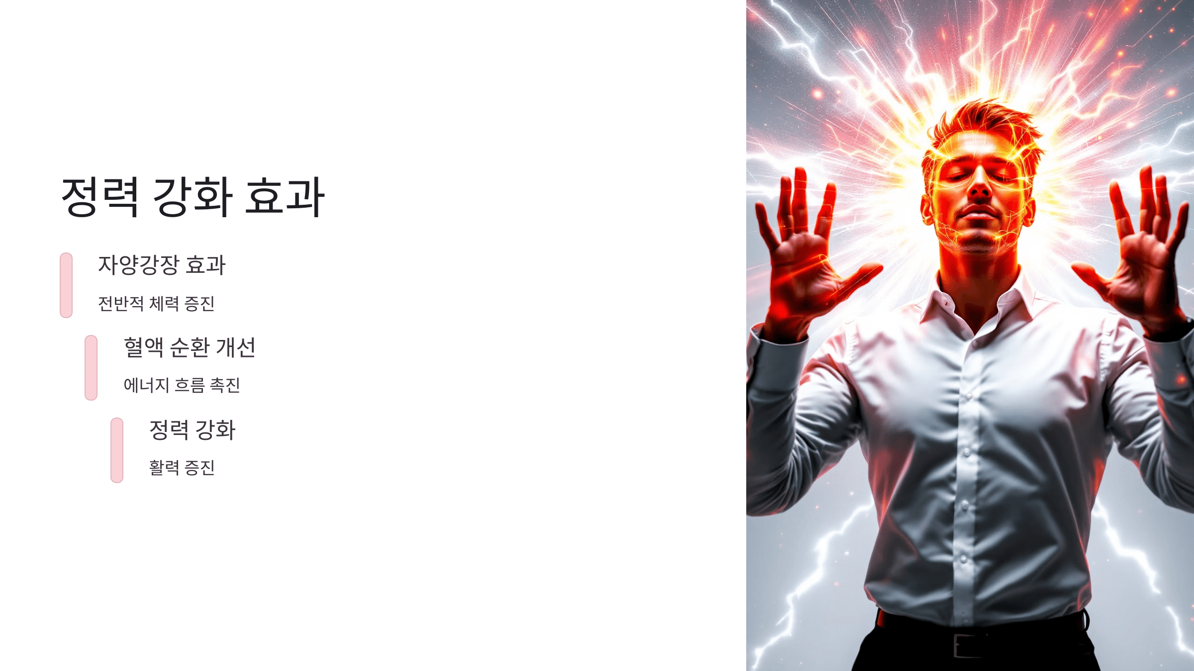 오미자 사진입니다.