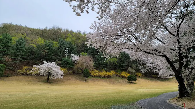 용인 골드 컨트리클럽 소개 및 이용방법
